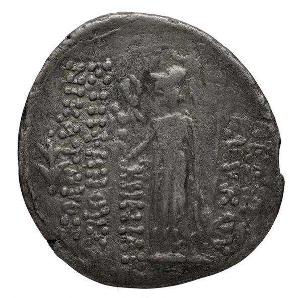 реверс Seleucid Coins (part 2) 2405.24