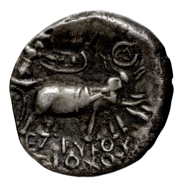 реверс Seleucid Coins (part 1) 282.1