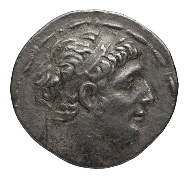 аверс Seleucid Coins (part 2) 2349.1d
