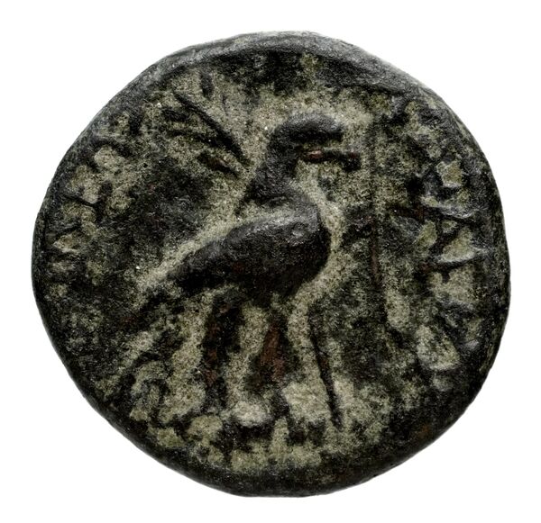 Seleucid Coins (part 1) 955, реверс, bnf-hrc