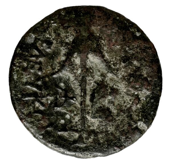 реверс Seleucid Coins (part 1) 756