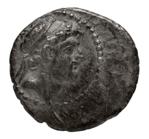 аверс Seleucid Coins (part 2) 2422