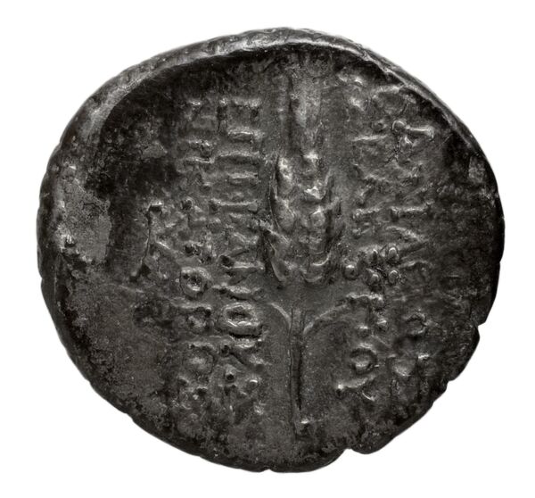 реверс Seleucid Coins (part 2) 2422