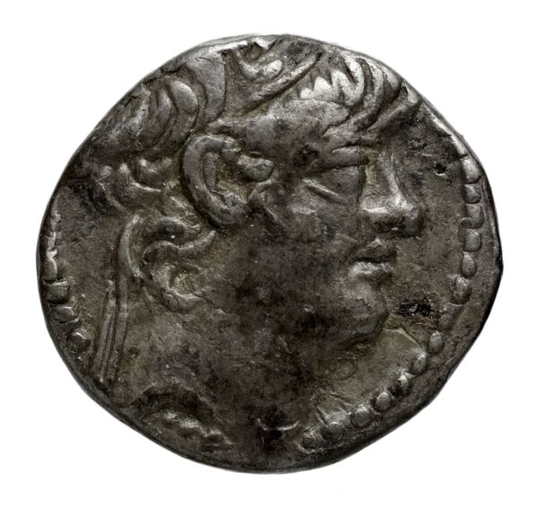 аверс Seleucid Coins (part 2) 2431