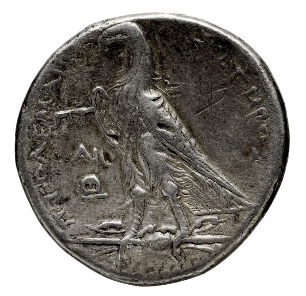 Coins of the Ptolemaic Empire Vol. I, Part 1, no. 455, реверс, BnF (HRC)