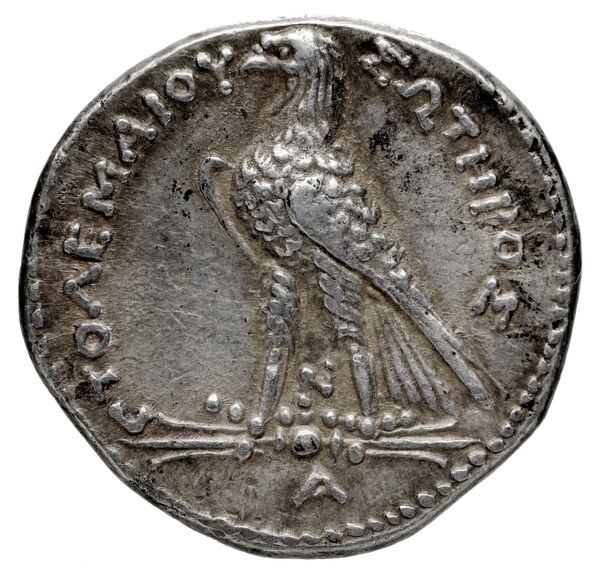 Coins of the Ptolemaic Empire Vol. I, Part 1, no. 956, реверс, BnF (HRC)