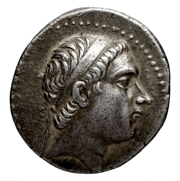 Seleucid Coins (part 1) 1121.2, аверс, BnF (HRC)