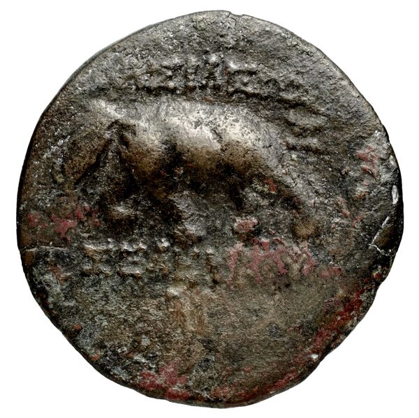 реверс Seleucid Coins (part 2) 1353.1