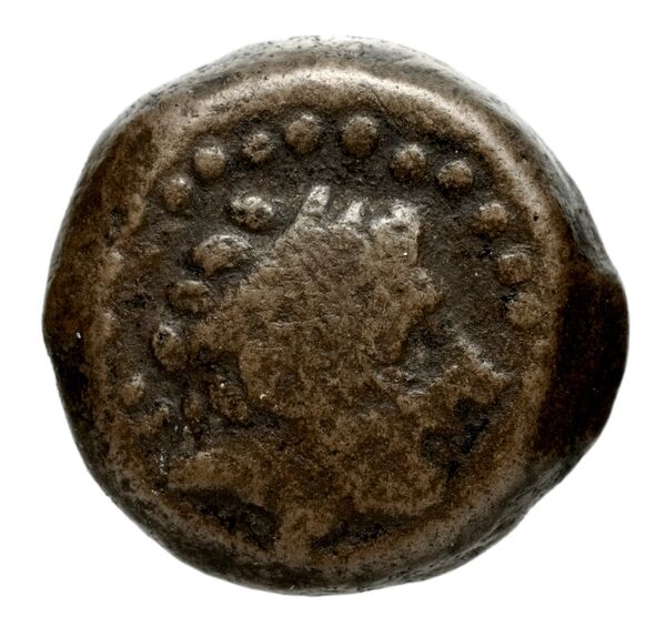 Seleucid Coins (part 1) 1254, аверс, BnF (HRC)