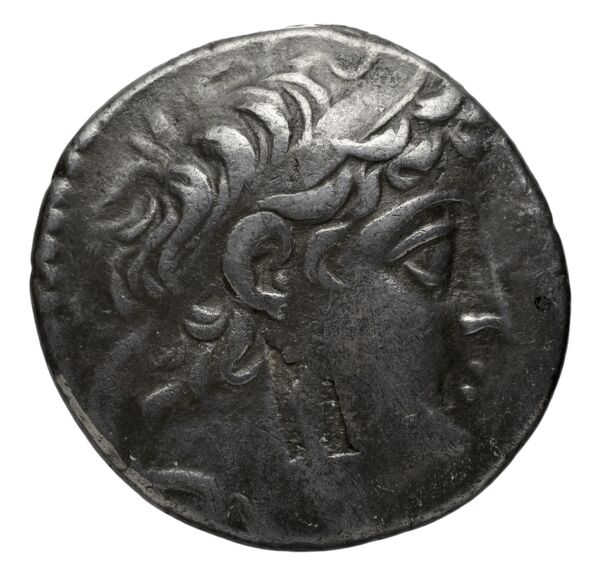 Seleucid Coins (part 2) 2195.2b, аверс, bnf-hrc