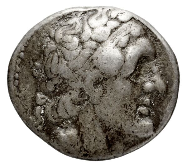 Coins of the Ptolemaic Empire Vol. I, Part 1, no. 235, аверс, bnf-hrc