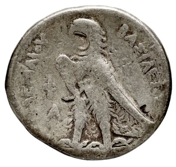 Coins of the Ptolemaic Empire Vol. I, Part 1, no. 497, реверс, BnF (HRC)