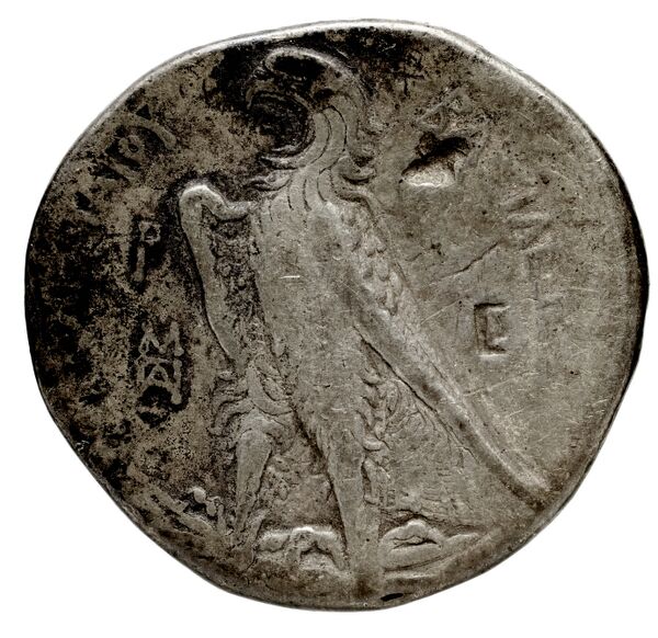 Coins of the Ptolemaic Empire Vol. I, Part 1, no. 170, реверс, BnF (HRC)