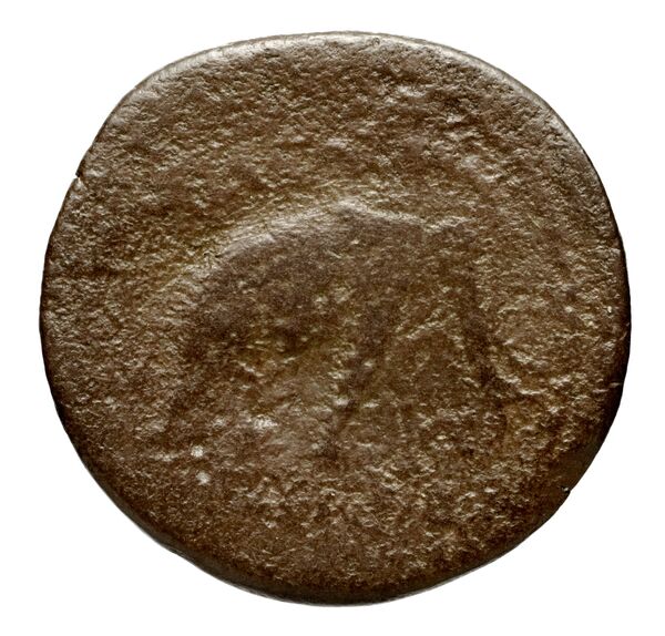 Seleucid Coins (part 1) 820a, реверс, BnF (HRC)