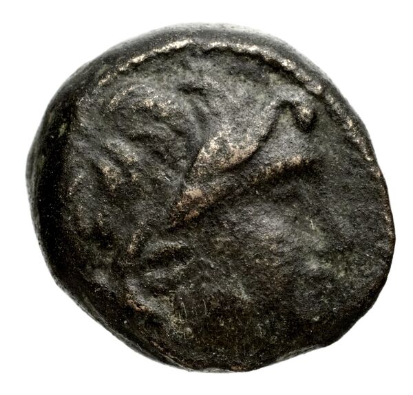 аверс Seleucid Coins (part 1) 1050