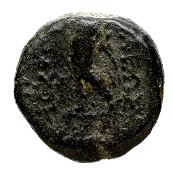 реверс Seleucid Coins (part 1) 1052
