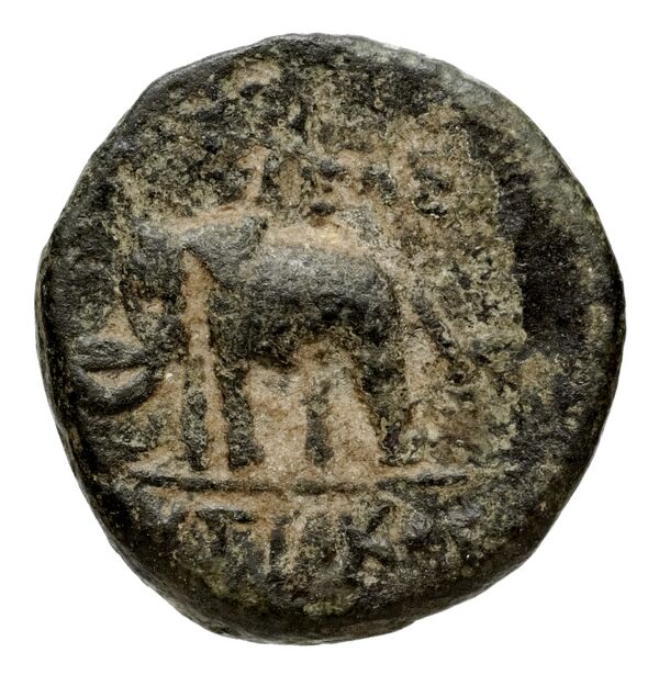 реверс Seleucid Coins (part 1) 977