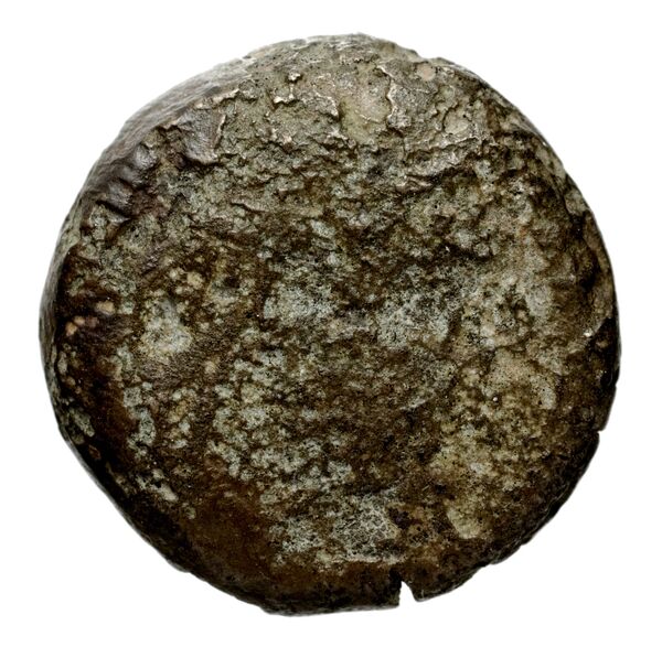 аверс Seleucid Coins (part 1) 1244.1