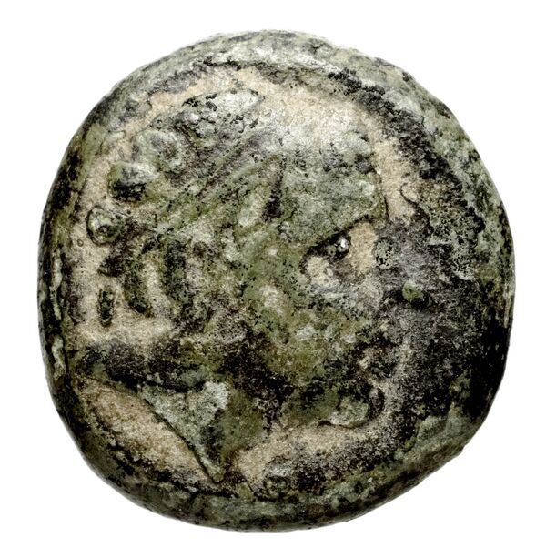 Seleucid Coins (part 1) 1271, аверс, BnF (HRC)