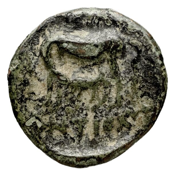 Seleucid Coins (part 1) 1271, реверс, BnF (HRC)