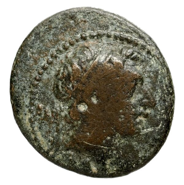 аверс Seleucid Coins (part 2) 1666.4