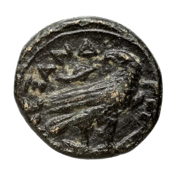 Price 28, реверс, bnf-hrc