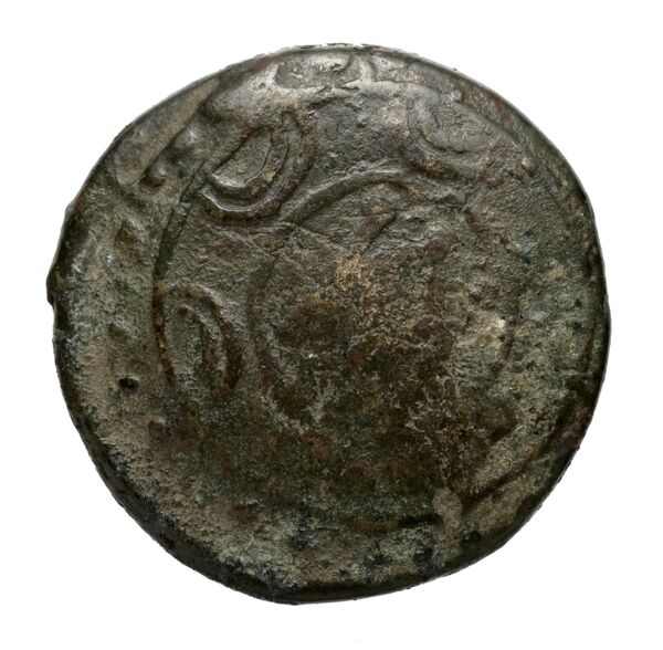 Newell Demetrius Poliorcetes, no. 125, аверс, bnf-hrc