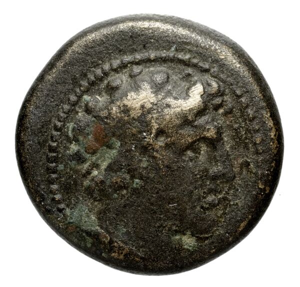 Seleucid Coins (part 2) 1788, аверс, BnF (HRC)