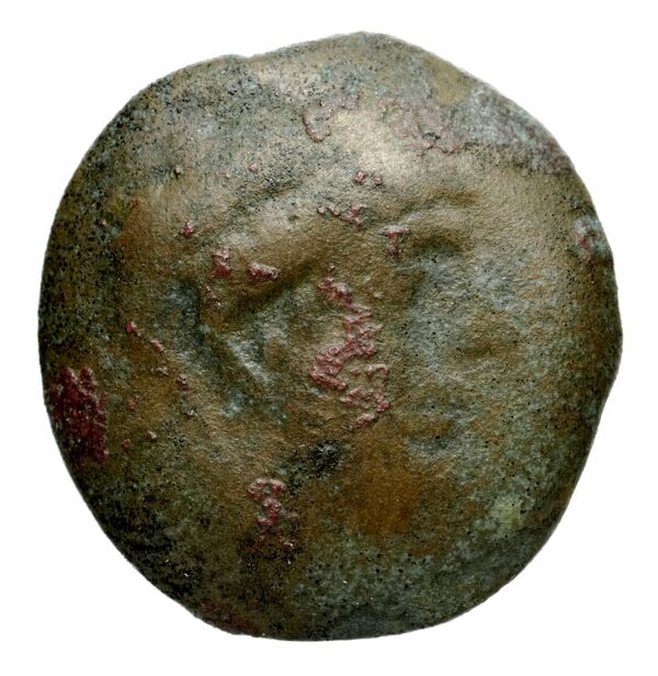 Seleucid Coins (part 2) 2375, аверс, bnf-hrc