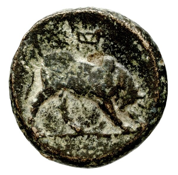 реверс Seleucid Coins (part 1) 125.1