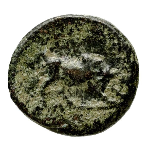 реверс Seleucid Coins (part 1) 127