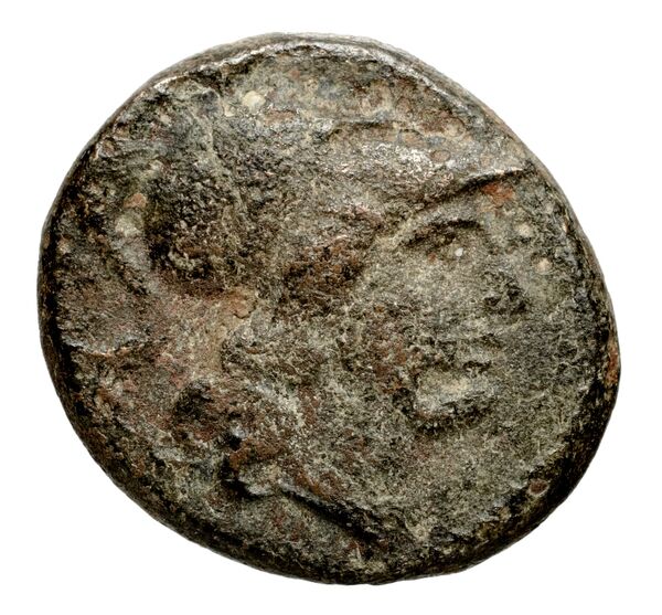 Seleucid Coins (part 1) 332.3, аверс, bnf-hrc