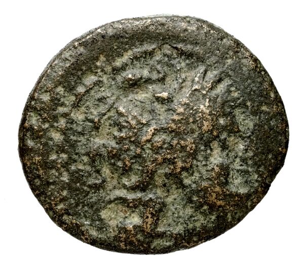 аверс Seleucid Coins (part 1) 348