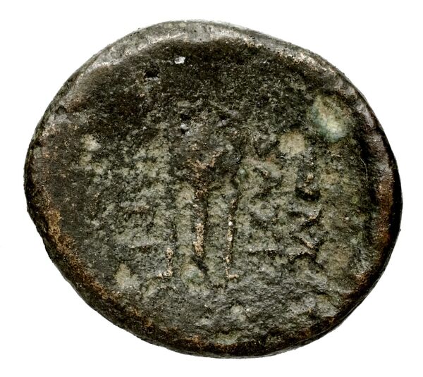 реверс Seleucid Coins (part 1) 348