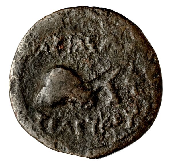 реверс Seleucid Coins (part 1) 753a