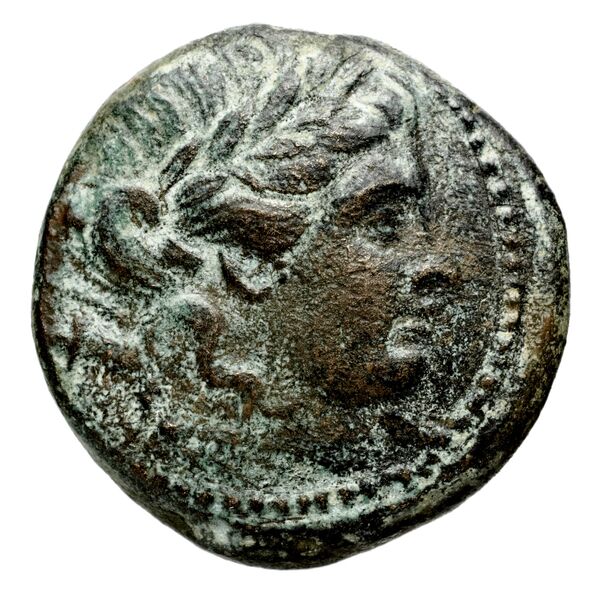 аверс Seleucid Coins (part 1) 706a