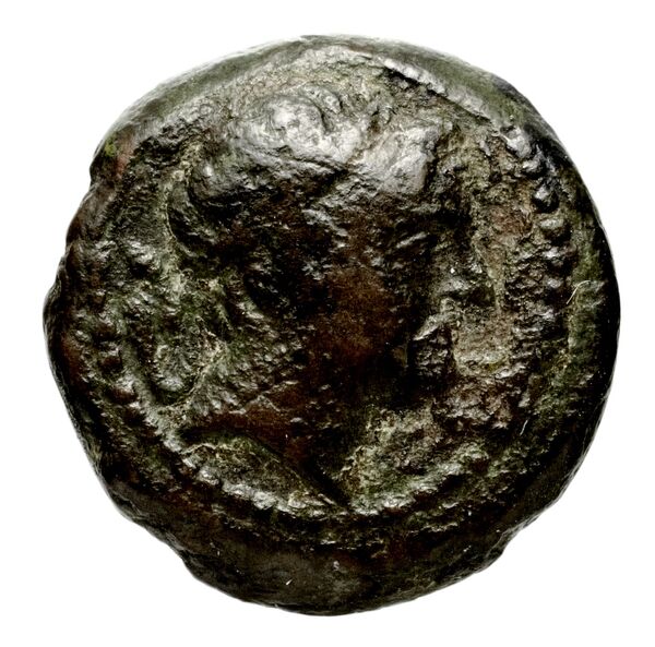 аверс Seleucid Coins (part 1) 783