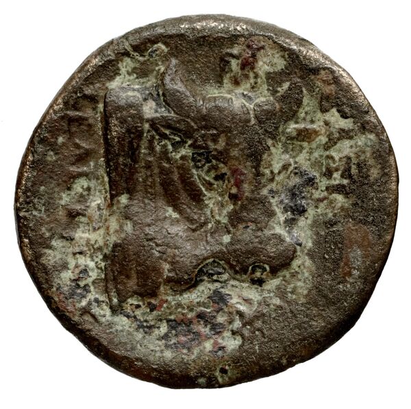 Seleucid Coins (part 1) 771, реверс, BnF (HRC)