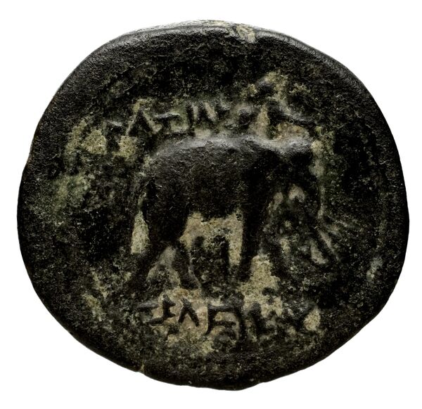 Seleucid Coins (part 1) 818, реверс, BnF (HRC)