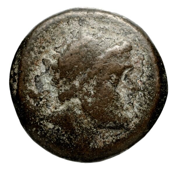 Seleucid Coins (part 1) 1256, аверс, BnF (HRC)