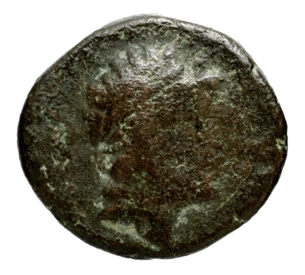 аверс Seleucid Coins (part 1) 1084b