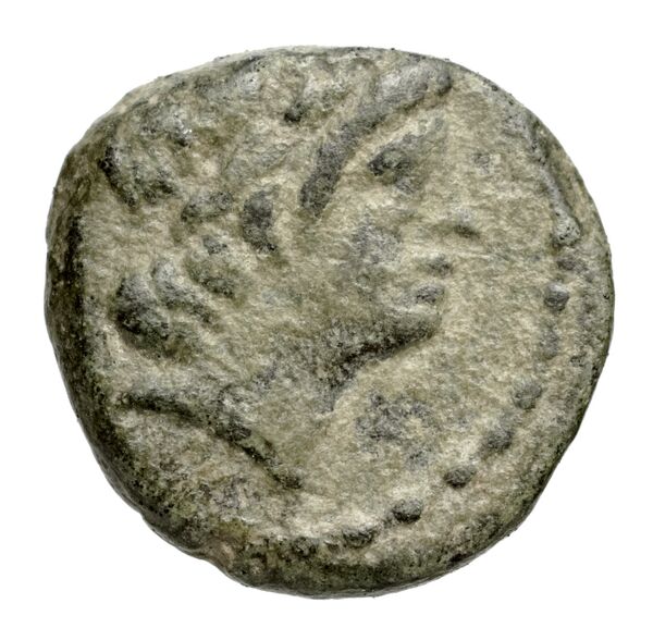 аверс Seleucid Coins (part 1) 1050.1c