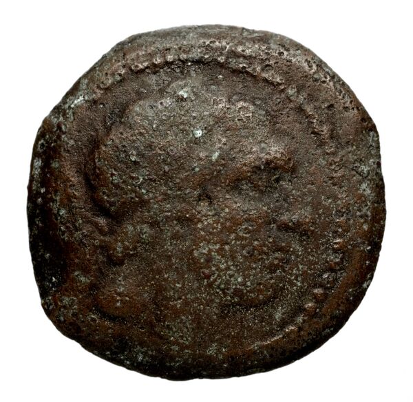 Seleucid Coins (part 1) 1078, аверс, BnF (HRC)