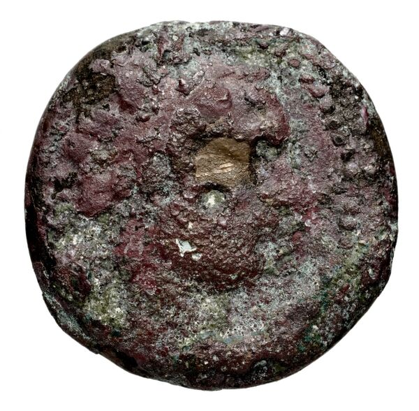 Seleucid Coins (part 1) 1078.3, аверс, BnF (HRC)
