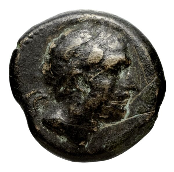 Seleucid Coins (part 1) 1080, аверс, BnF (HRC)