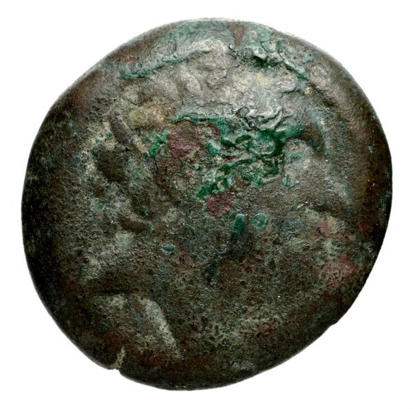 аверс Seleucid Coins (part 1) 1248