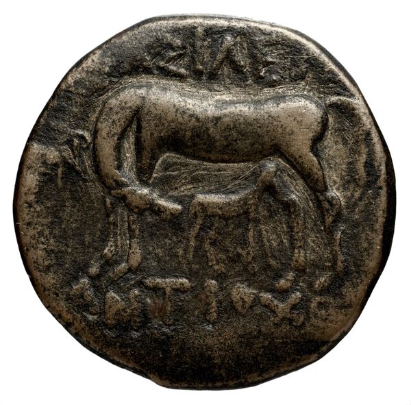 реверс Seleucid Coins (part 1) 1268
