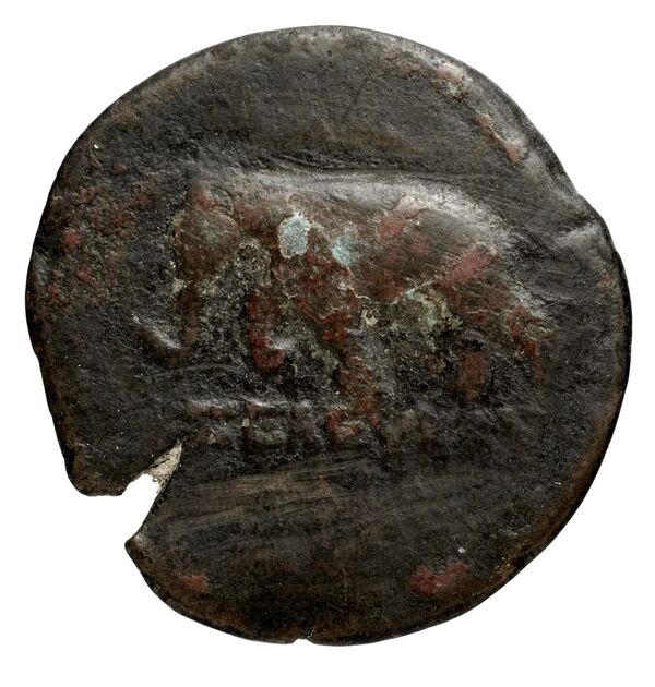 реверс Seleucid Coins (part 2) 1353
