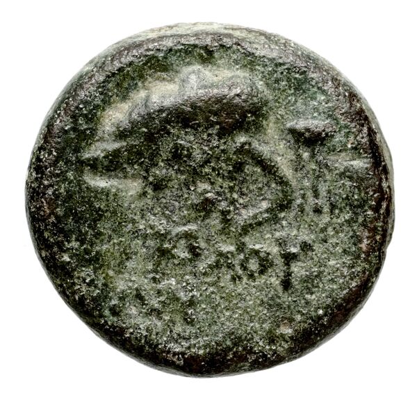 реверс Seleucid Coins (part 2) 1371a