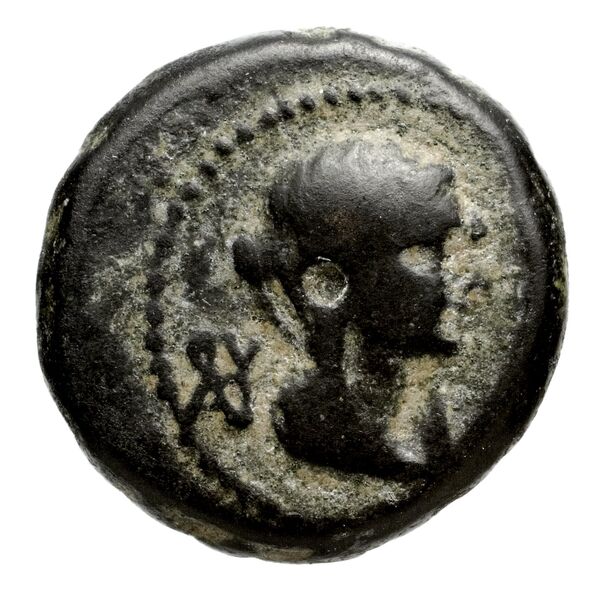 аверс Seleucid Coins (part 2) 1477.2k